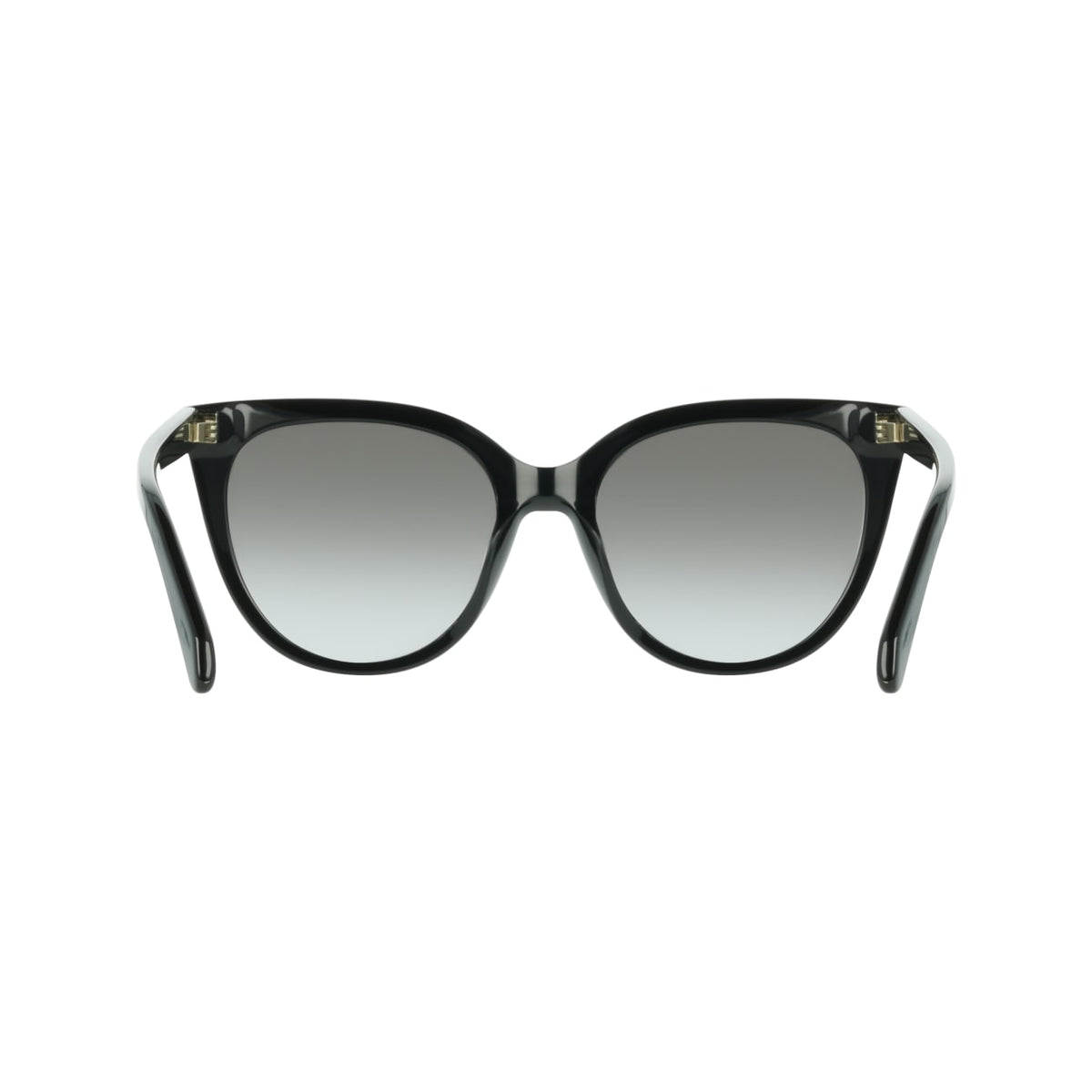 Sunglasses Ferragamo SF2101S 001 56 19