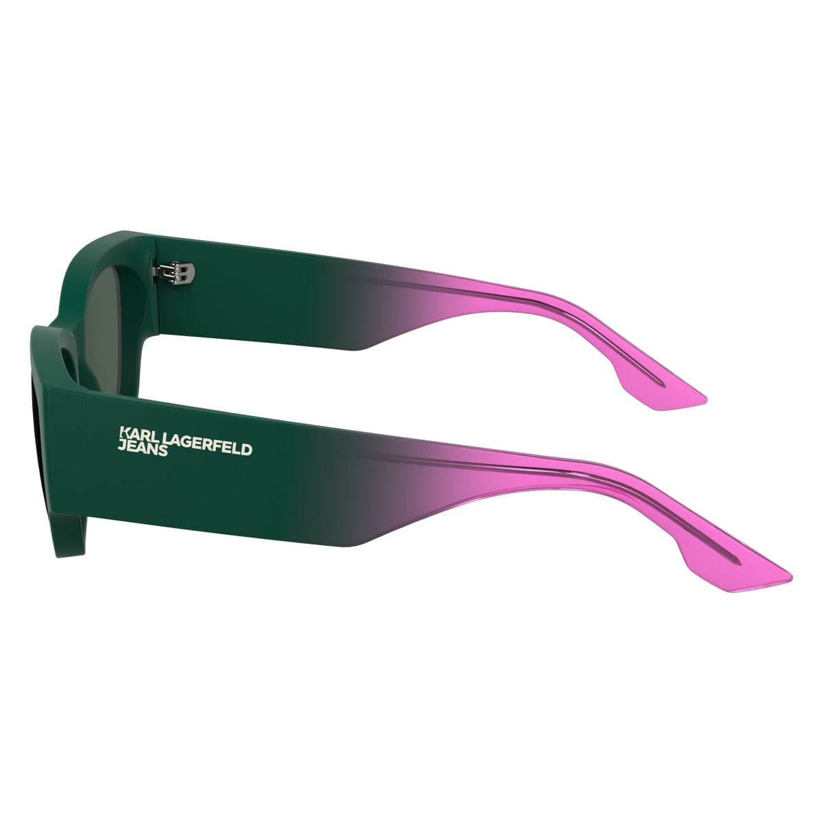 Gafas de Sol Karl Lagerfeld KLJ6168S 301 52 19