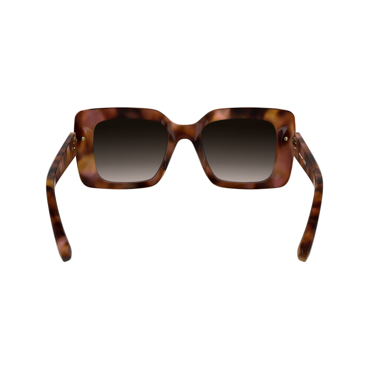 Gafas de Sol Longchamp LO776S 690 50 22