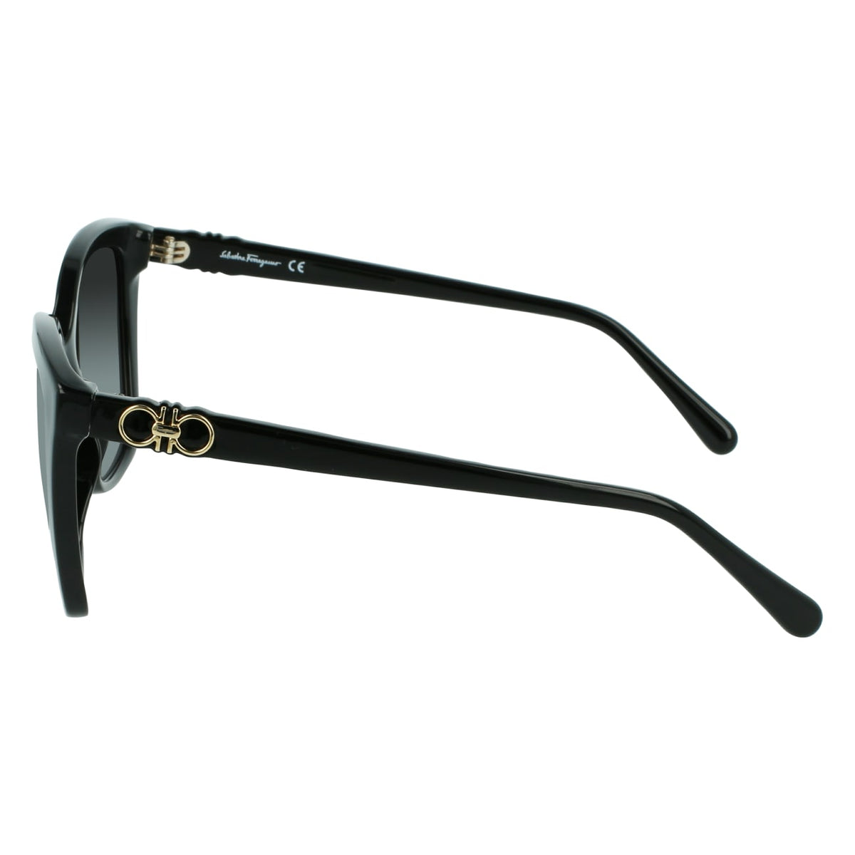 Gafas de Sol Ferragamo SF1026S 001 53.9 19