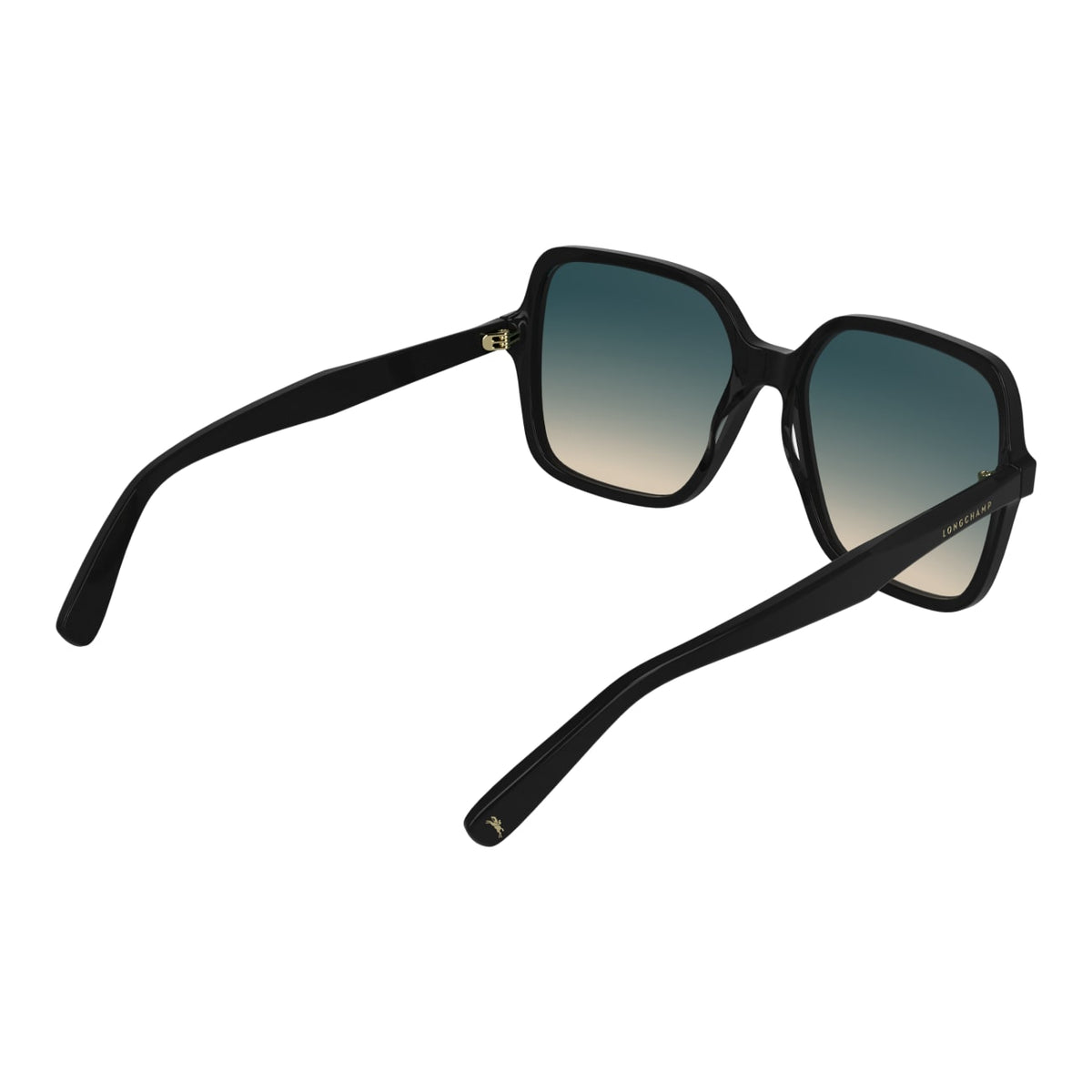 Sunglasses Longchamp LO808S 001 57 17