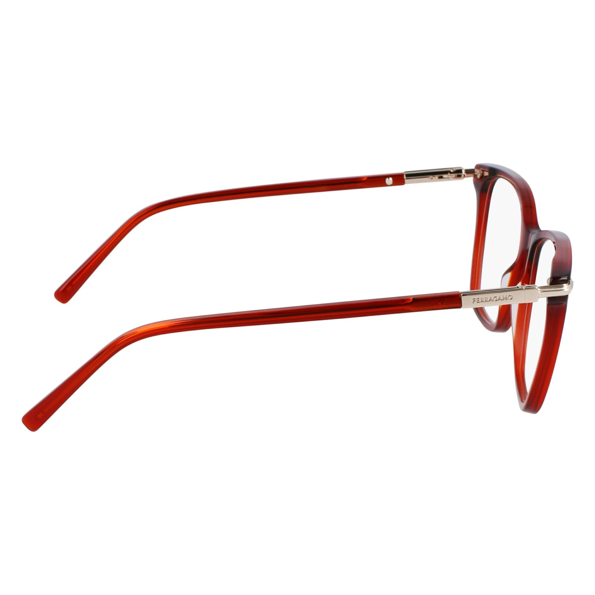 Prescription Glasses Ferragamo SF3013 616 53 / 55 15
