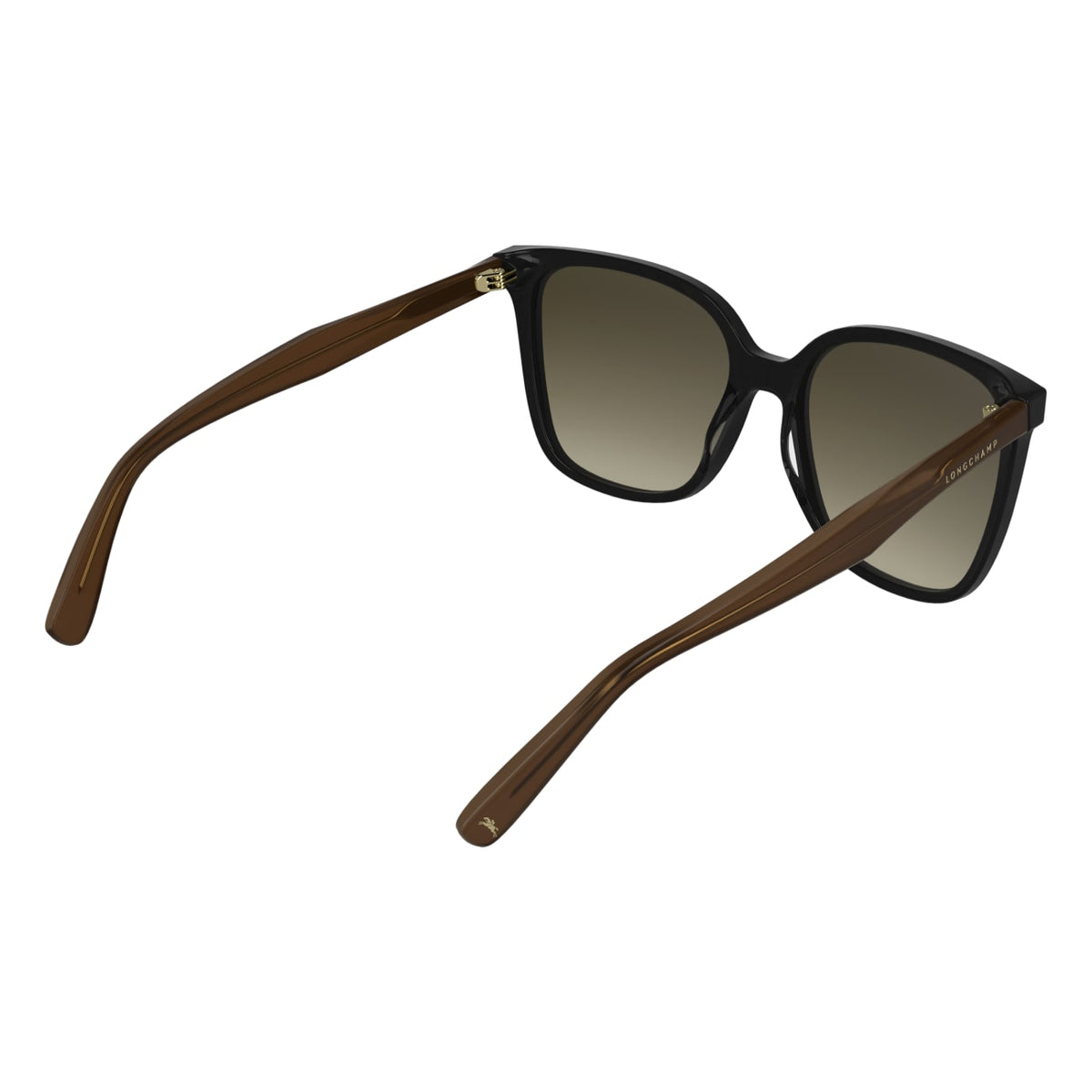 Gafas de Sol Longchamp LO807S 001 55 17