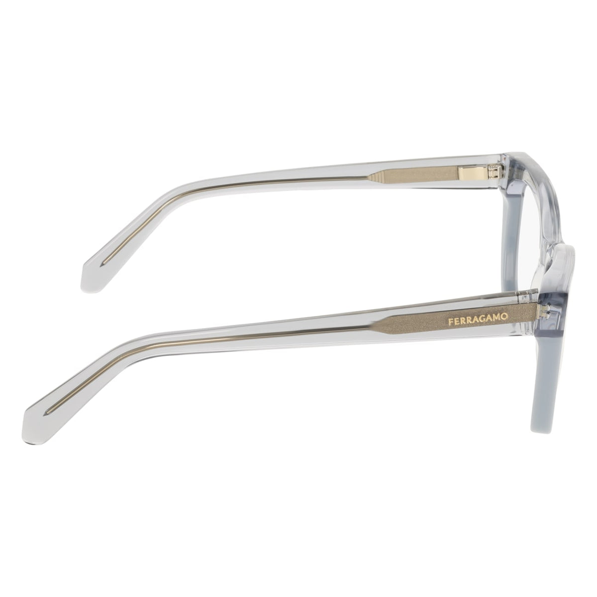 Gafas Graduadas Ferragamo SF3052 454 51 17