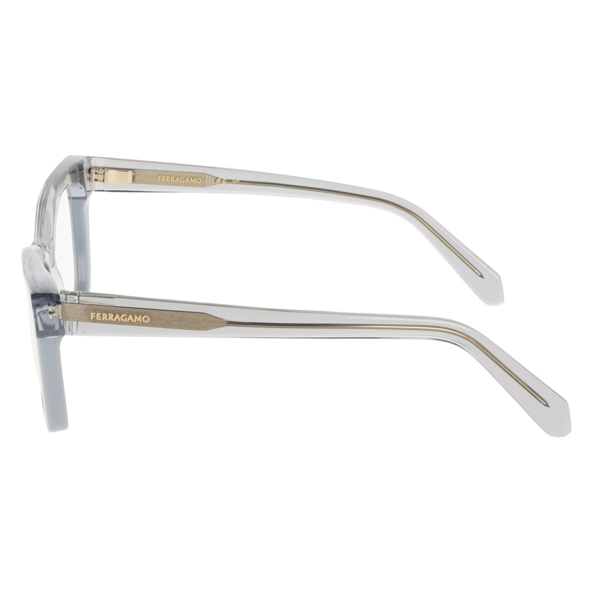 Gafas Graduadas Ferragamo SF3052 454 51 17