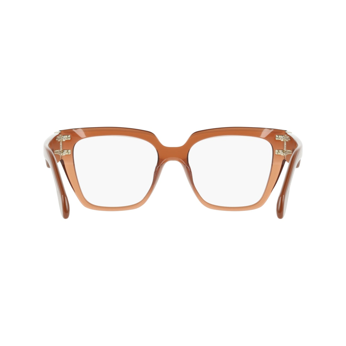 Gafas Graduadas Ferragamo SF3041E 261 53 16
