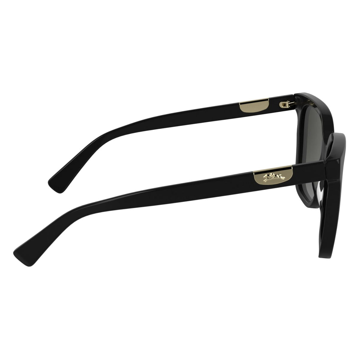 Sunglasses Longchamp LO772S 001 55 17