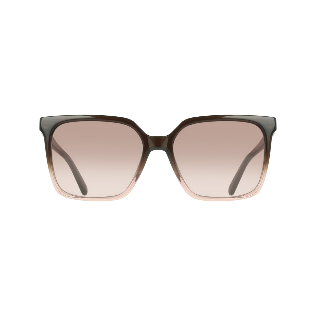 Gafas de Sol Ferragamo SF2102S 234 57 16