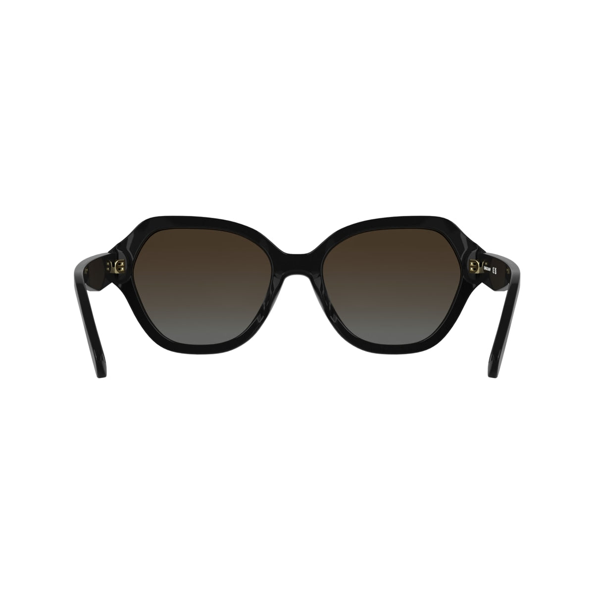Gafas de Sol Longchamp LO801S 001 56 19