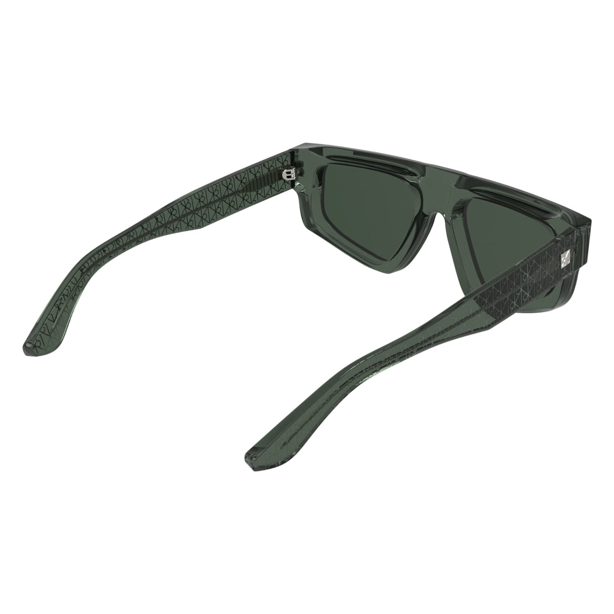 Sunglasses Calvin Klein (Ck) CK25539S 300 54 19