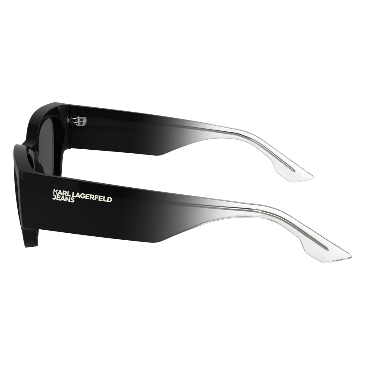 Sunglasses Karl Lagerfeld KLJ6168S 001 52 19