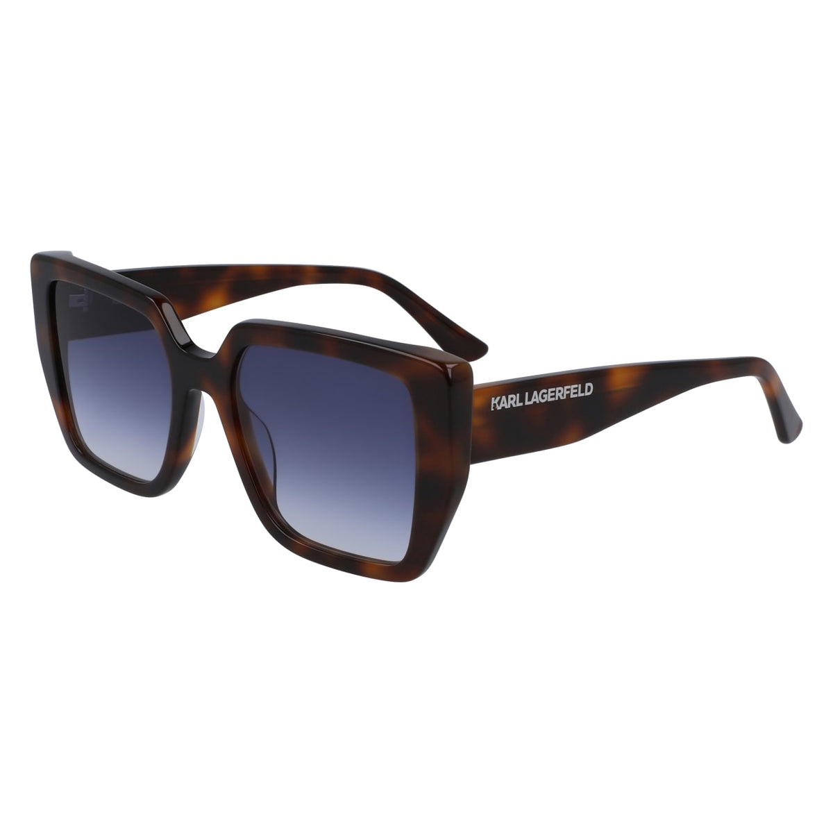 Gafas de Sol Karl Lagerfeld KL6036S 215 52 19