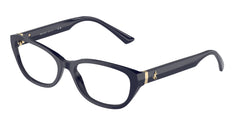 Gafas Graduadas Jimmy Choo JC3015 5023 55 17