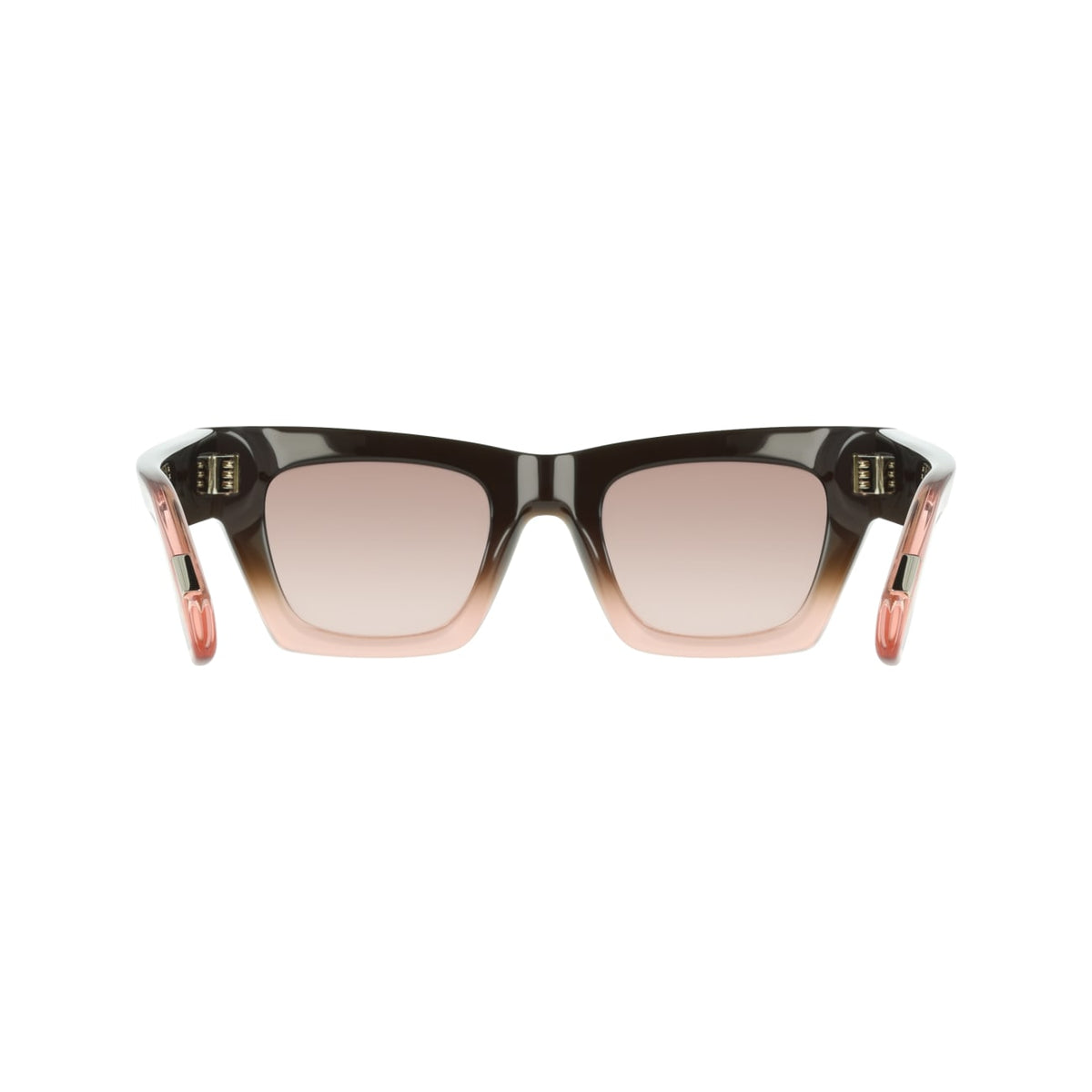 Gafas de Sol Ferragamo SF2105S 234 50 23