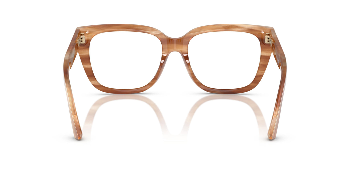 Gafas de Sol Jimmy Choo JC3019B 5055