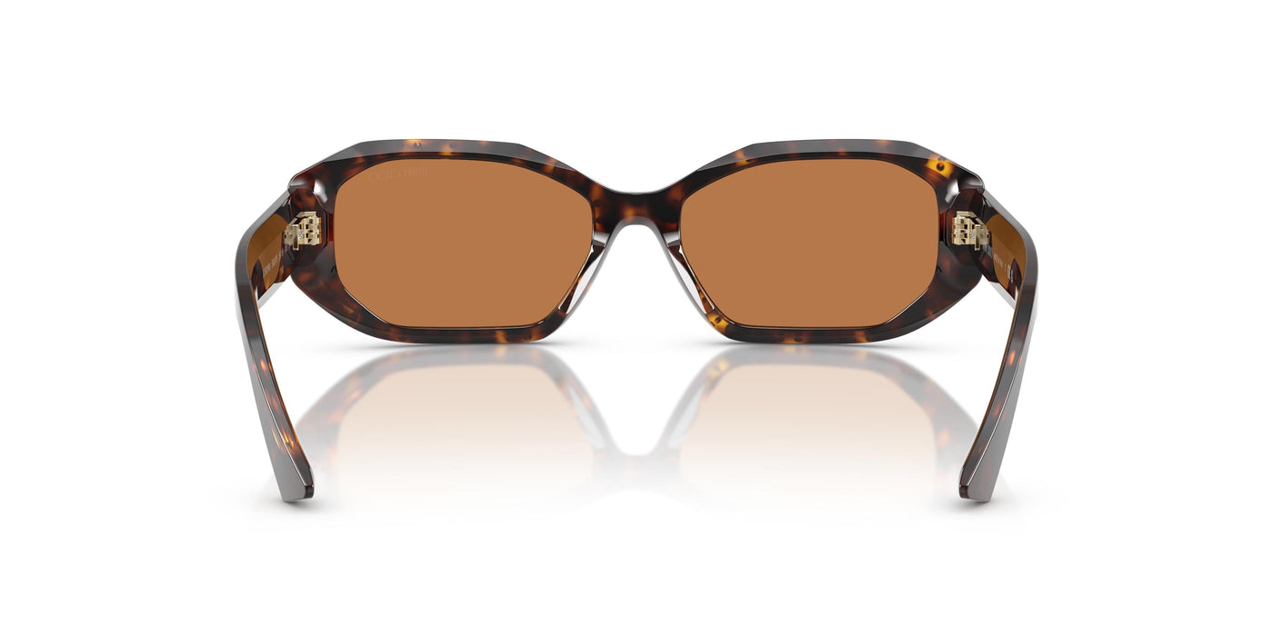 Gafas de Sol Jimmy Choo JC5021BU 500273 56 16