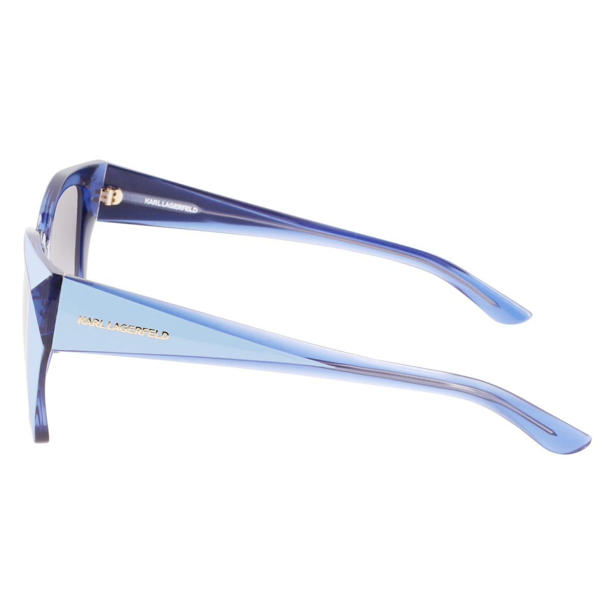 Gafas de Sol Karl Lagerfeld KL6072S 450 55 16