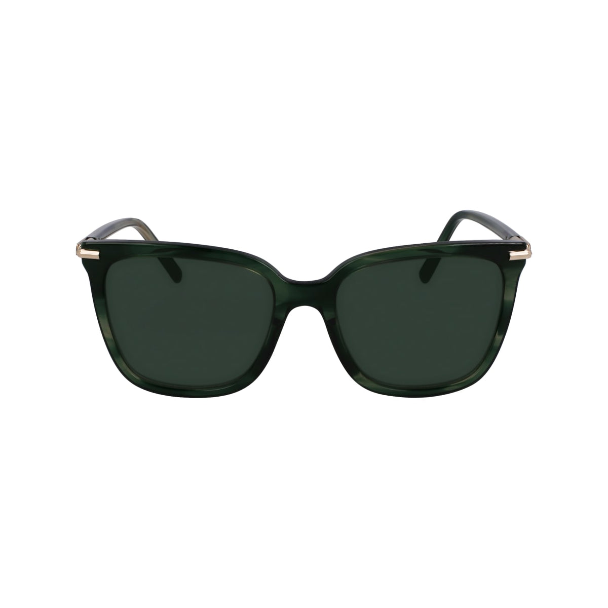 Gafas de Sol Ferragamo SF2037S 315 56 18