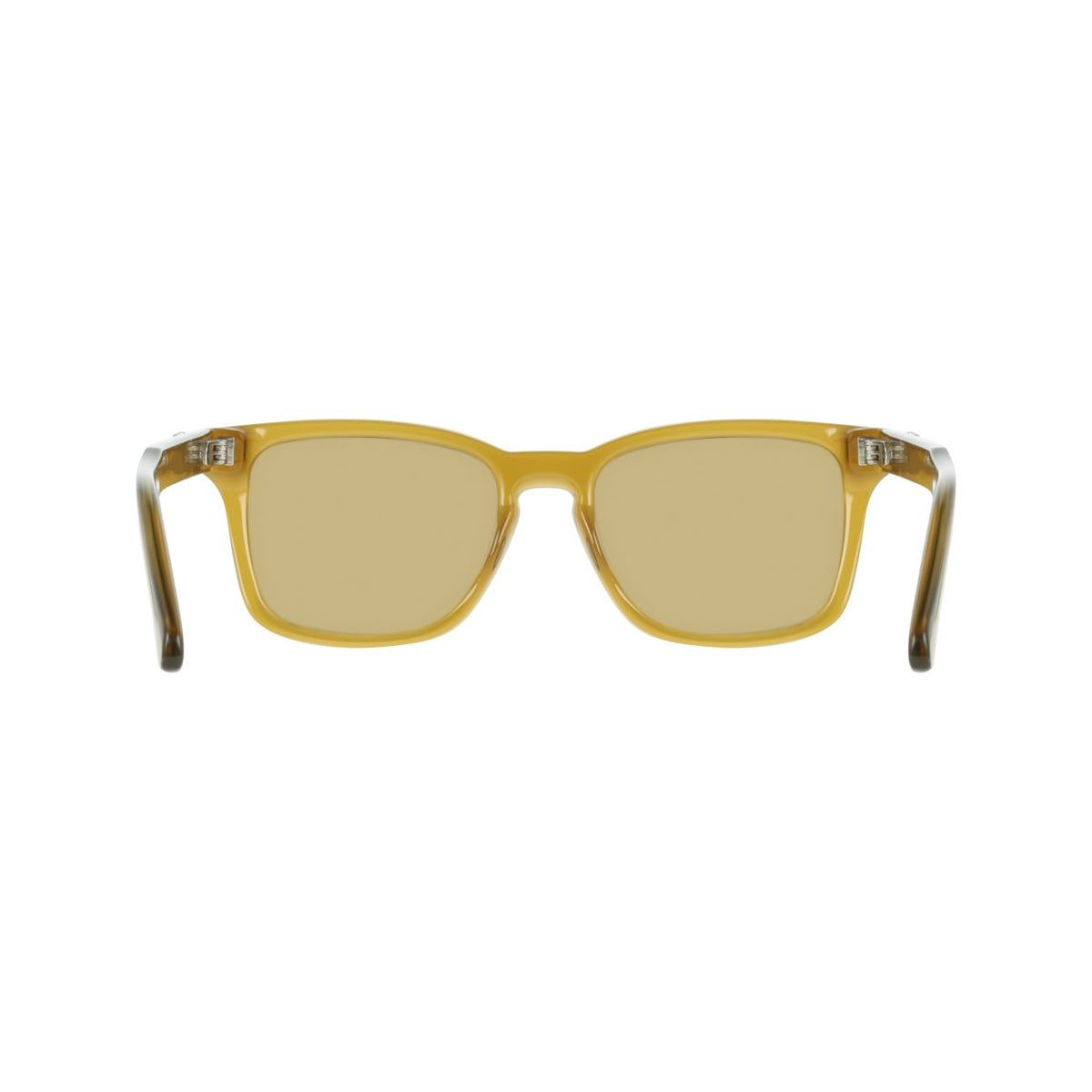 Sunglasses Ferragamo SF2086SE 259 55 19
