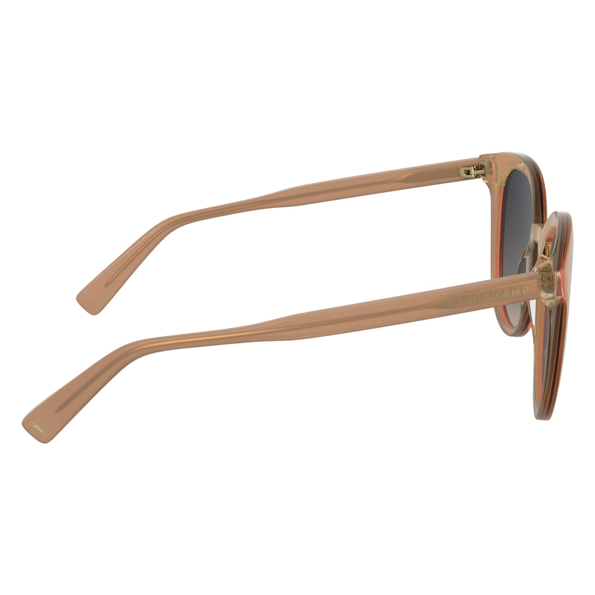 Gafas de Sol Longchamp LO752S 842 55 19