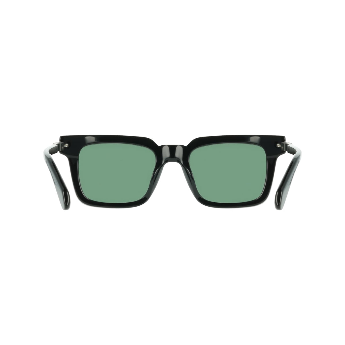 Sunglasses Ferragamo SF2103S 001 53 21