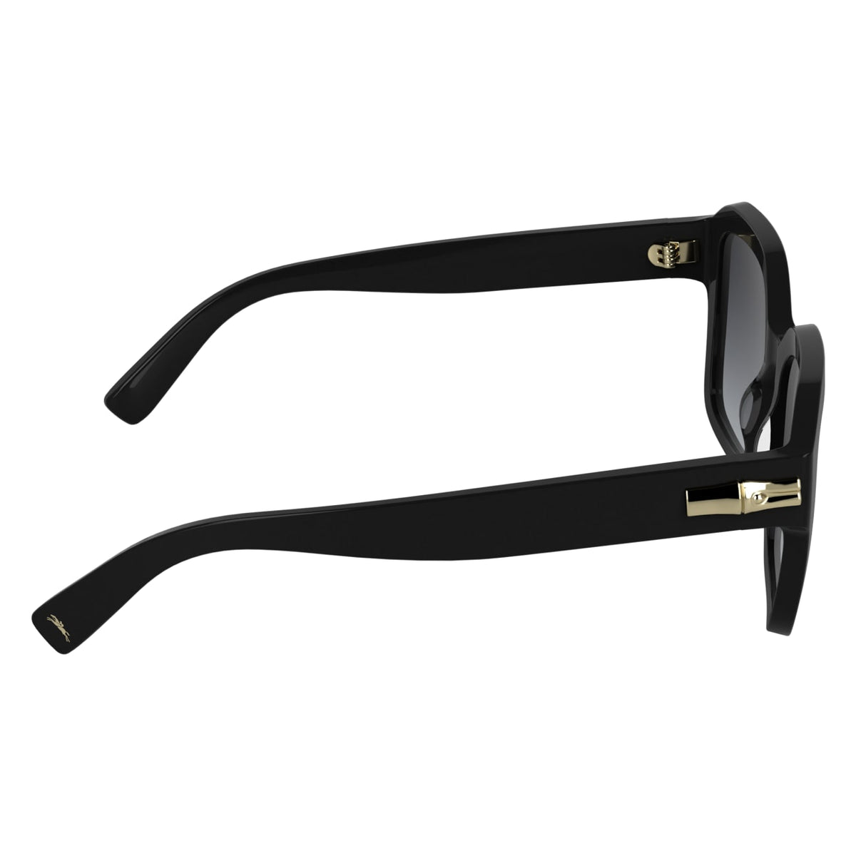 Sunglasses Longchamp LO816S 001 53 20