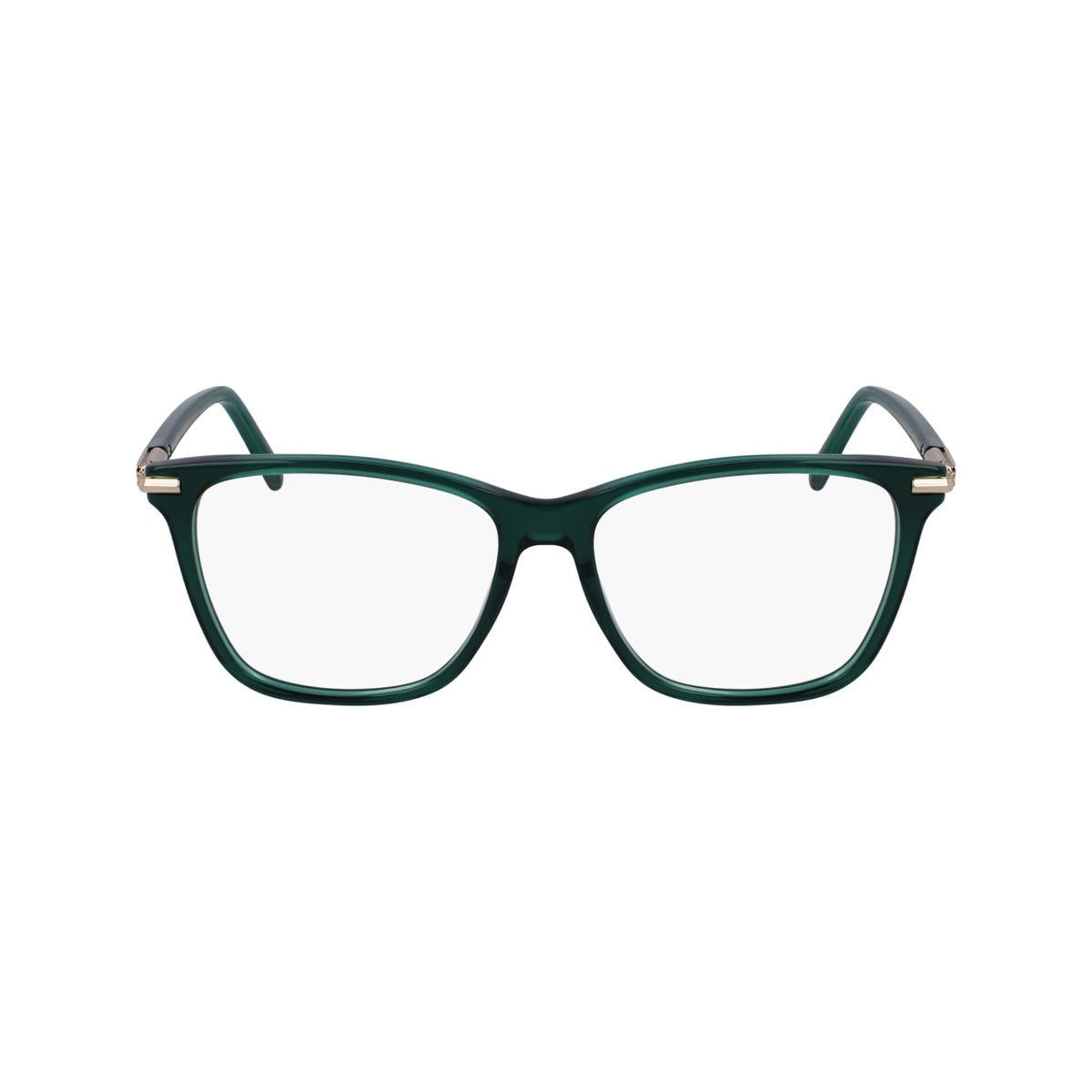Prescription Glasses Ferragamo SF3013 317 55 15
