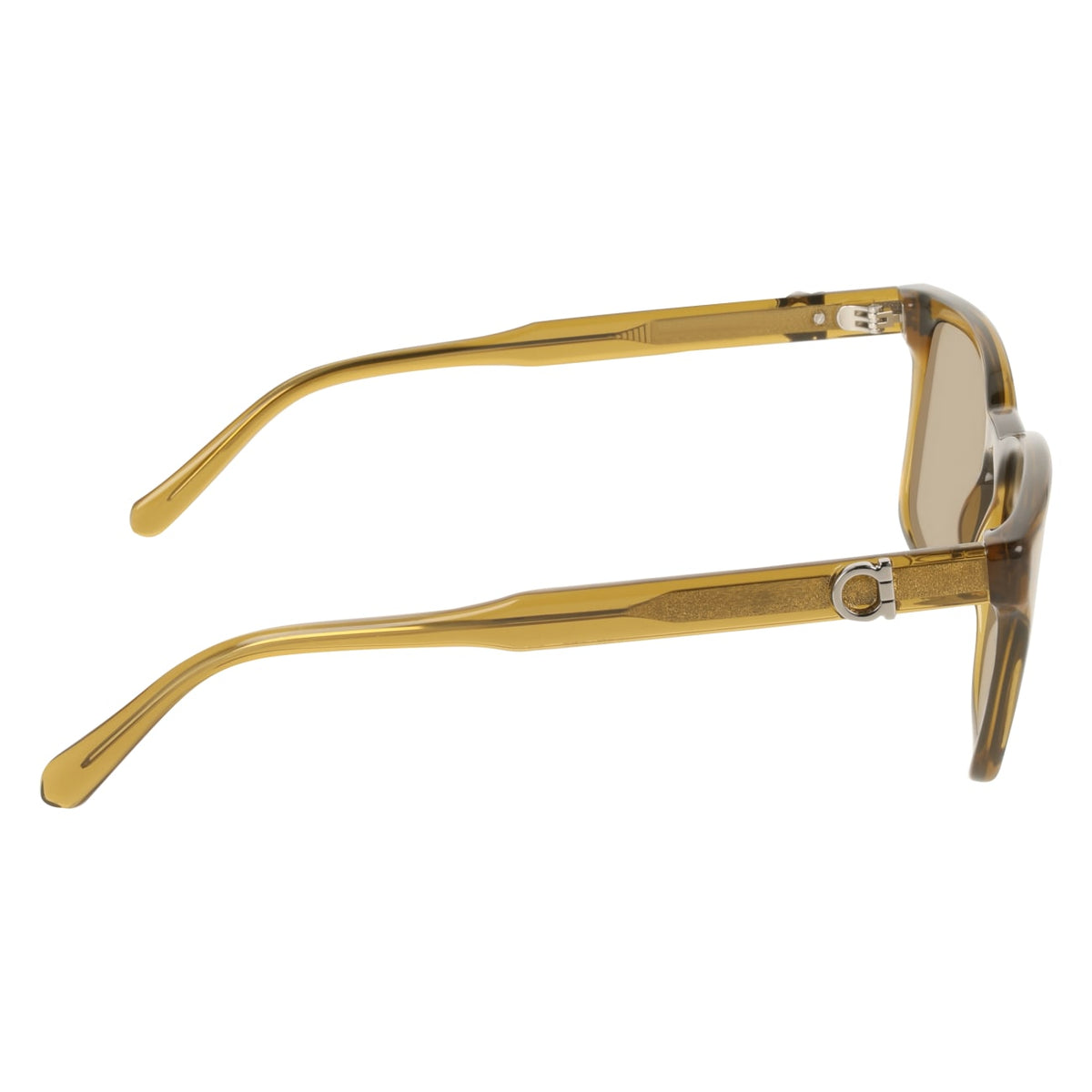 Sunglasses Ferragamo SF2086SE 259 55 19
