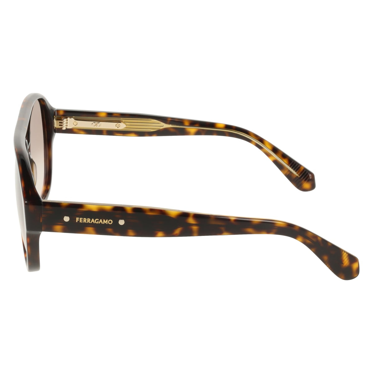 Gafas de Sol Ferragamo SF2147S 242 58 16