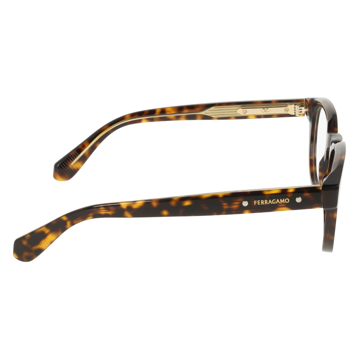 Gafas Graduadas Ferragamo SF3083 242 50 23