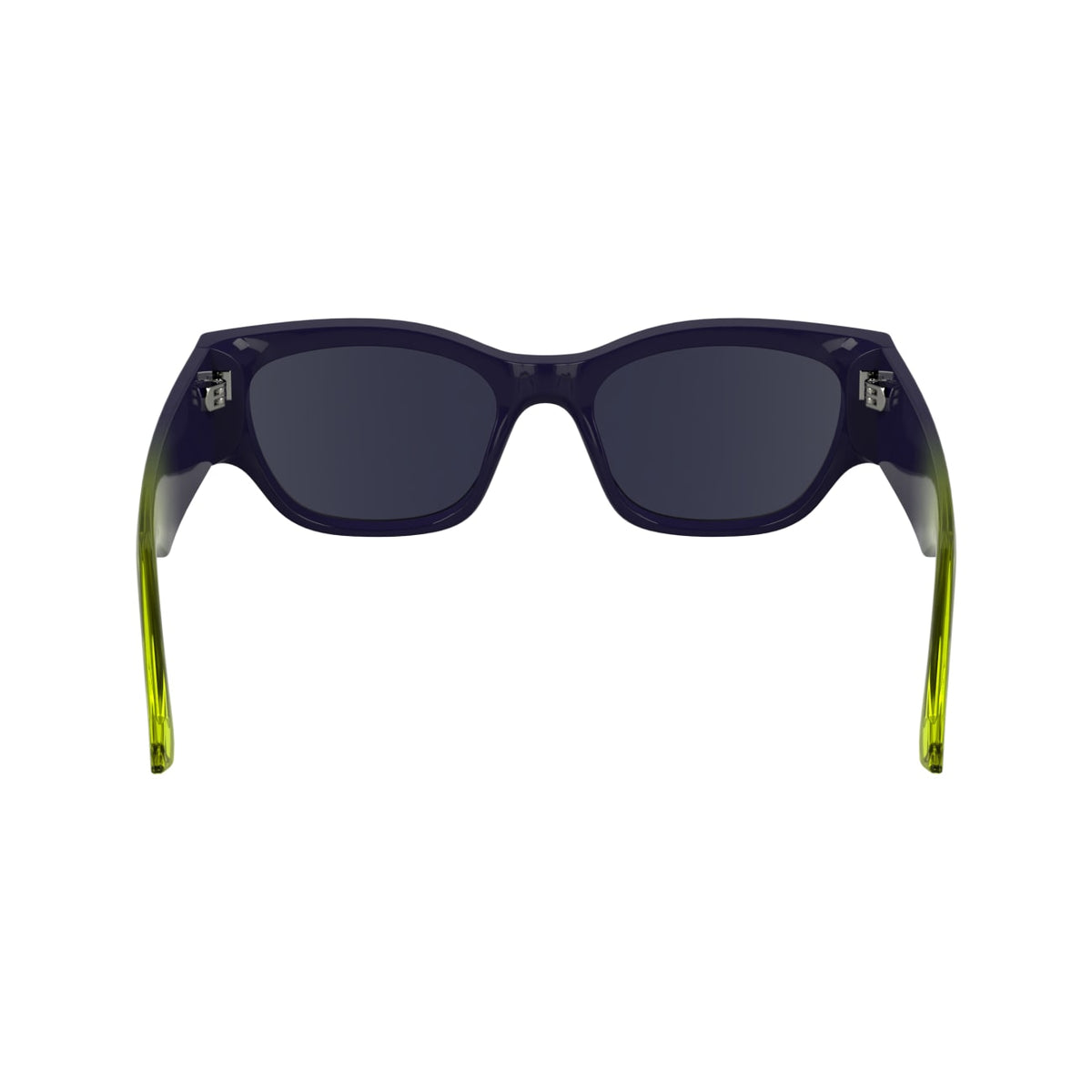Sunglasses Karl Lagerfeld KLJ6168S 501 52 19