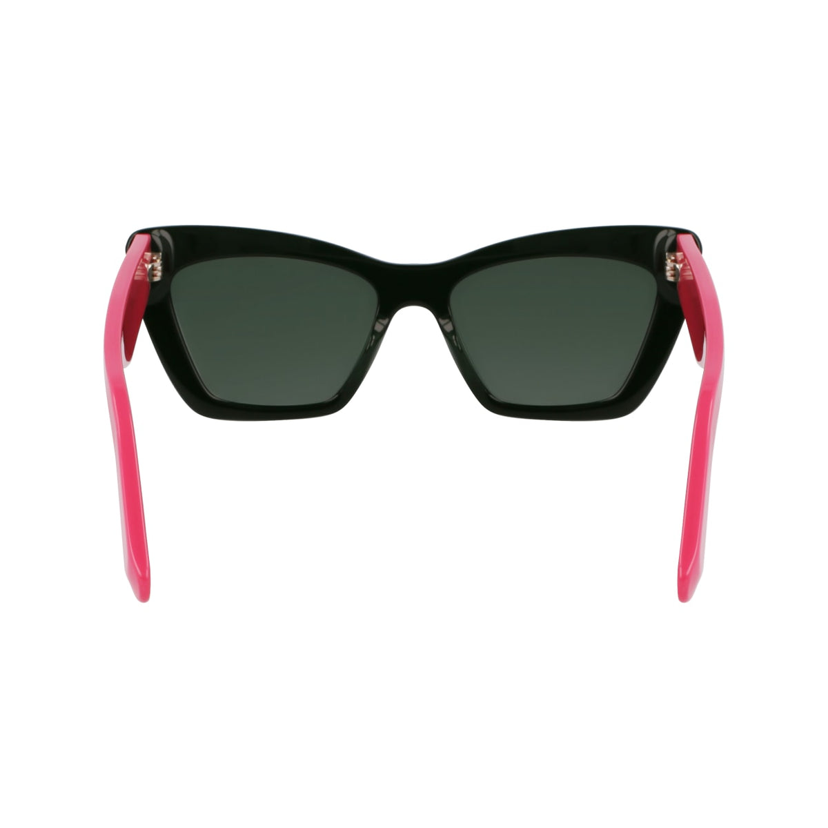 Sunglasses Ferragamo SF929SN 304 55 17