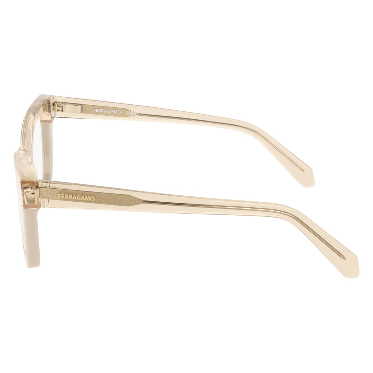 Gafas Graduadas Ferragamo SF3052 260 51 17