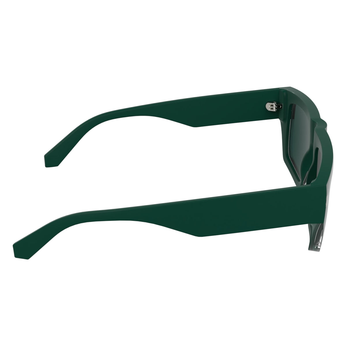 Gafas de Sol Calvin Klein Jeans CKJ25619S 300 54 19
