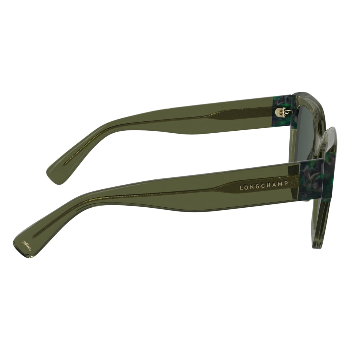 Sunglasses Longchamp LO771S 302 50 20