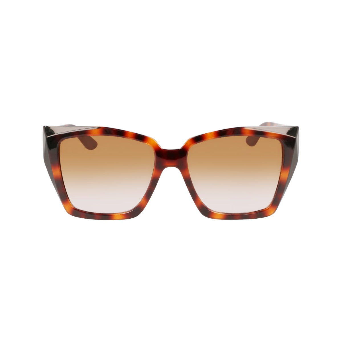 Gafas de Sol Karl Lagerfeld KL6072S 240 55 16