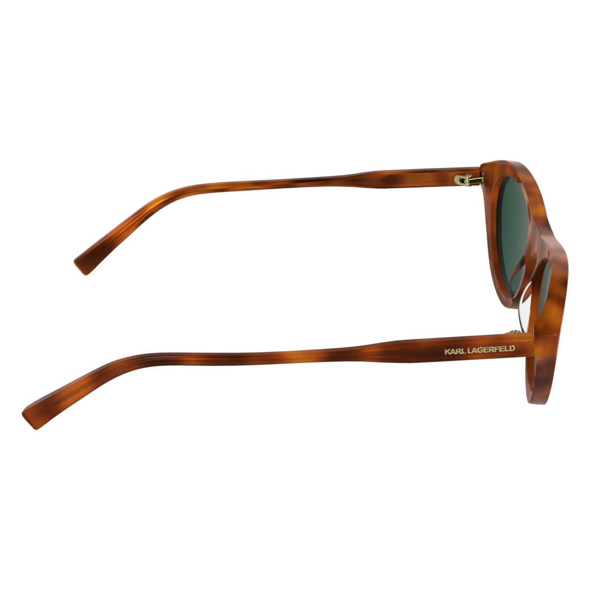 Gafas de Sol Karl Lagerfeld KL6246S 243 52 19