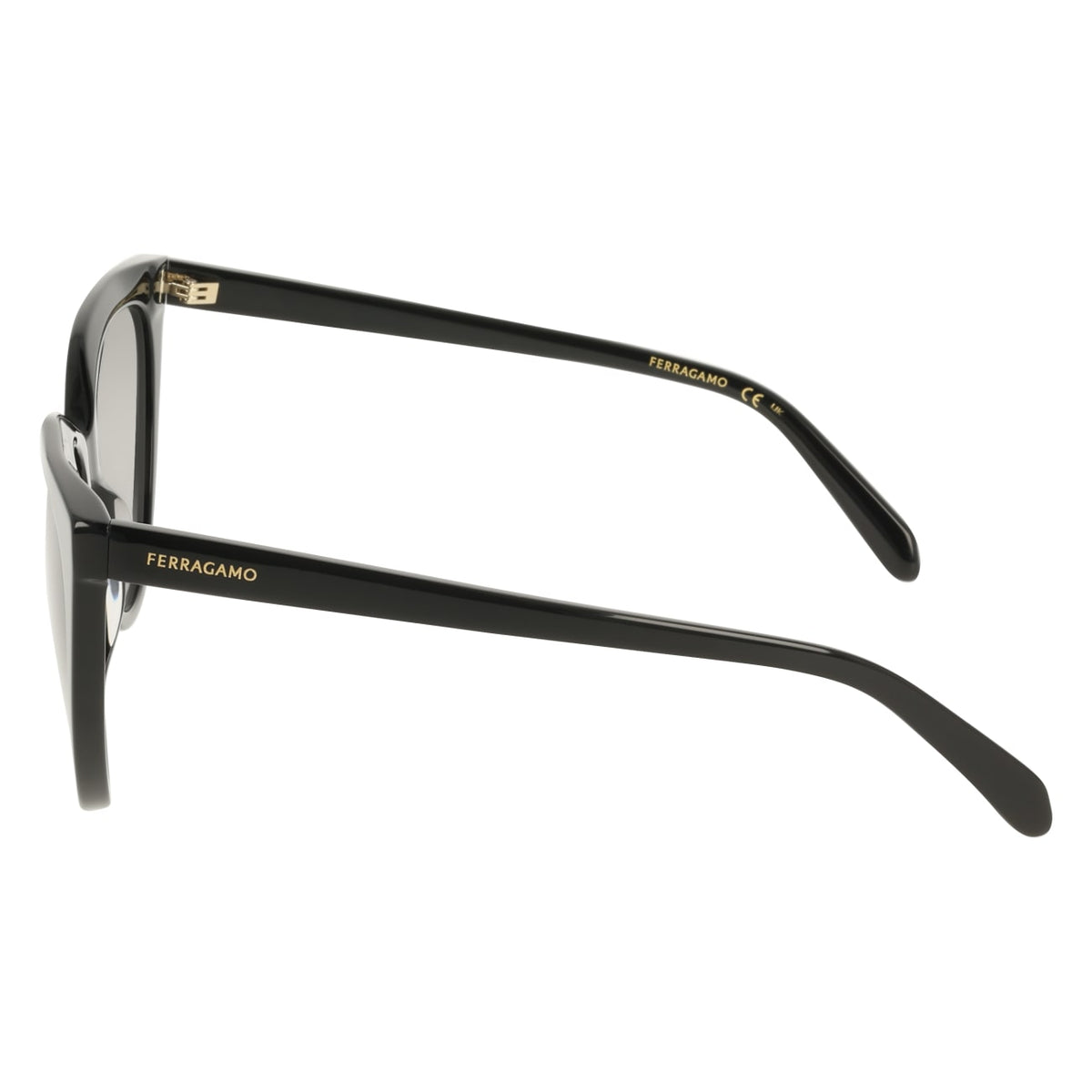 Sunglasses Ferragamo SF2101S 001 56 19