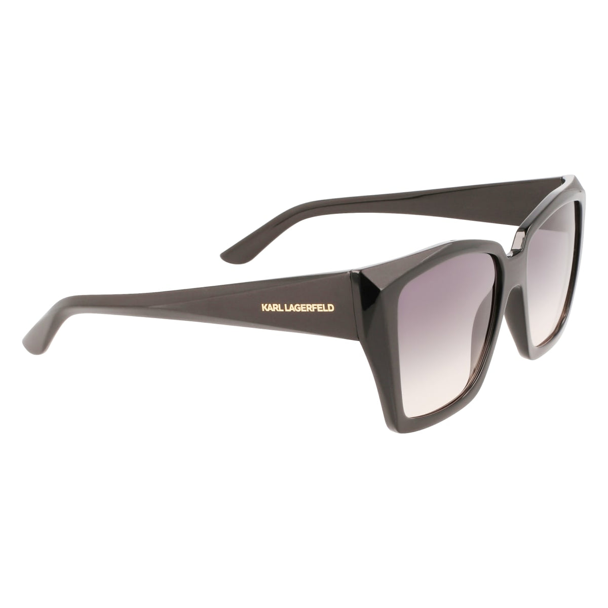 Gafas de Sol Karl Lagerfeld KL6072S 001 55 16
