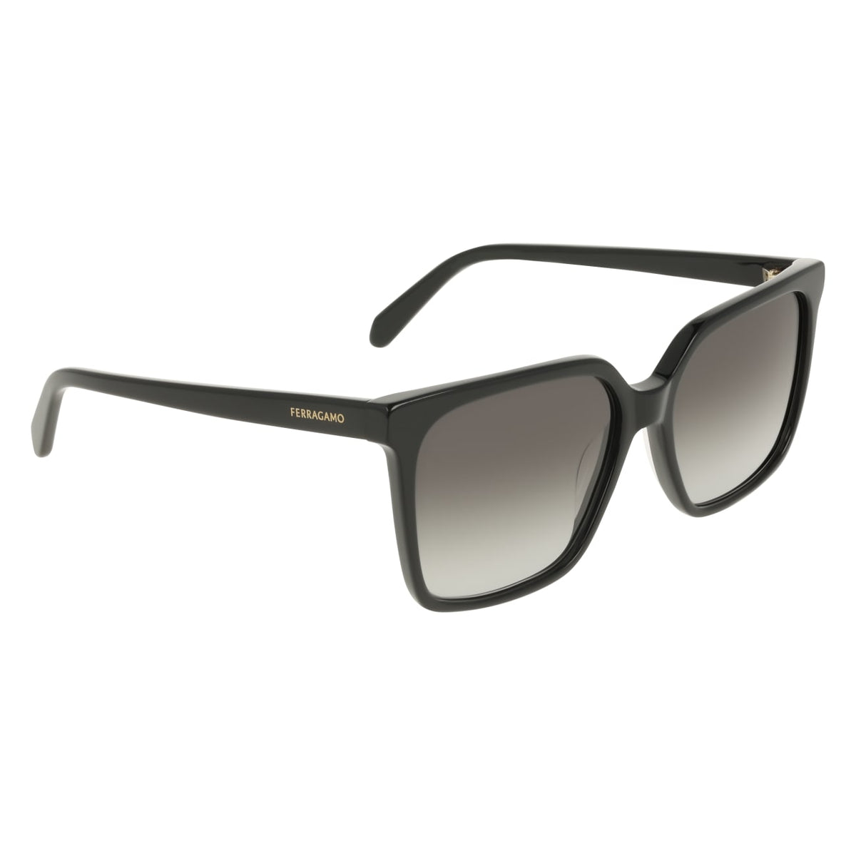 Gafas de Sol Ferragamo SF2102S 001 57 16