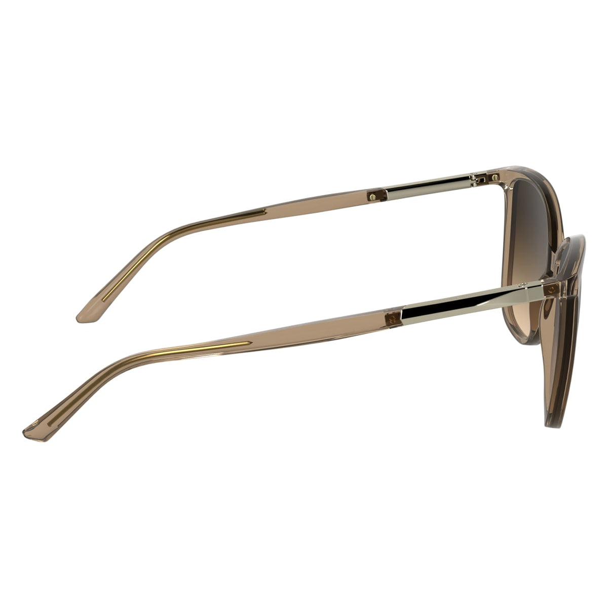 Gafas de Sol Calvin Klein (Ck) CK25504S 618 57 15
