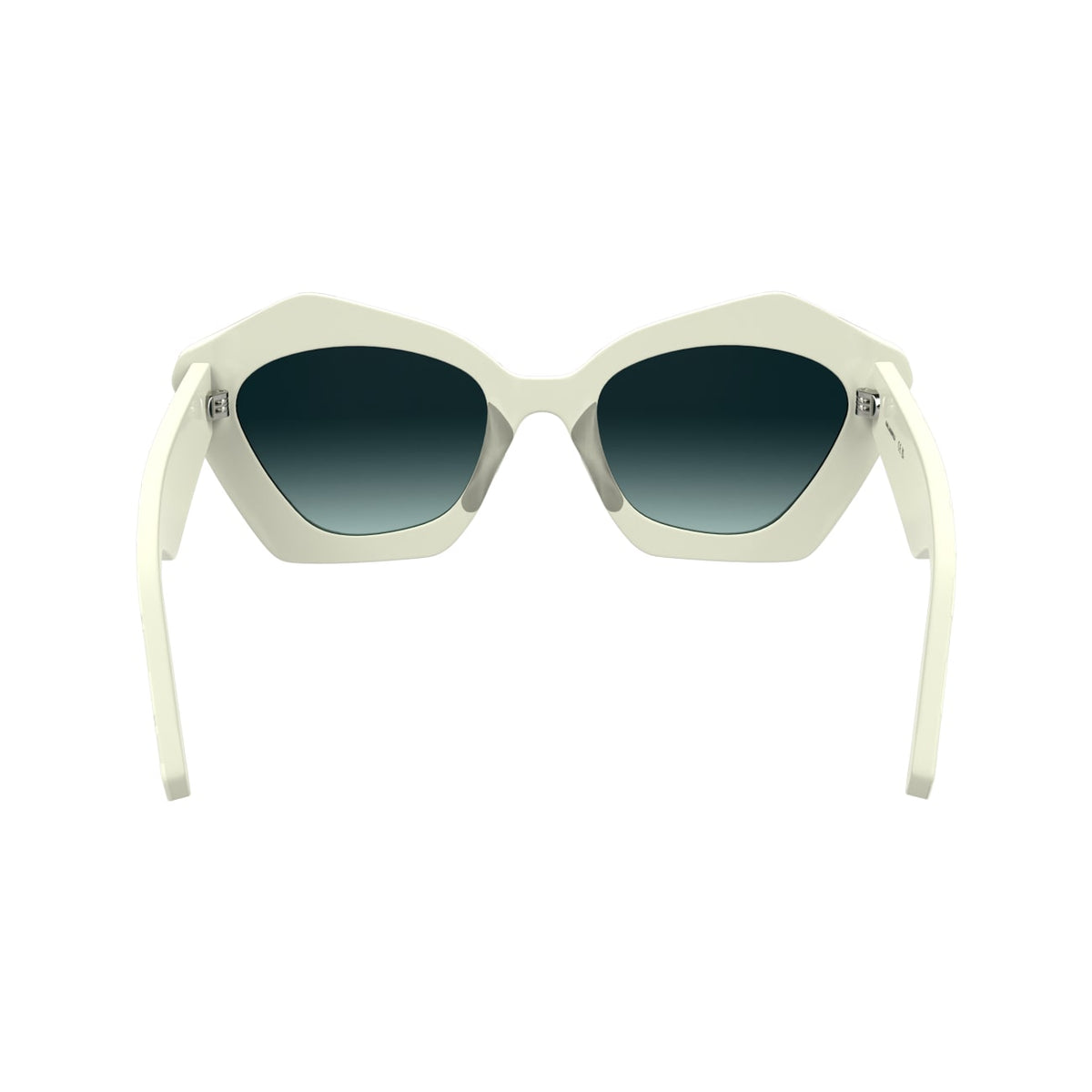 Gafas de Sol Karl Lagerfeld KL6199S 105 53 21