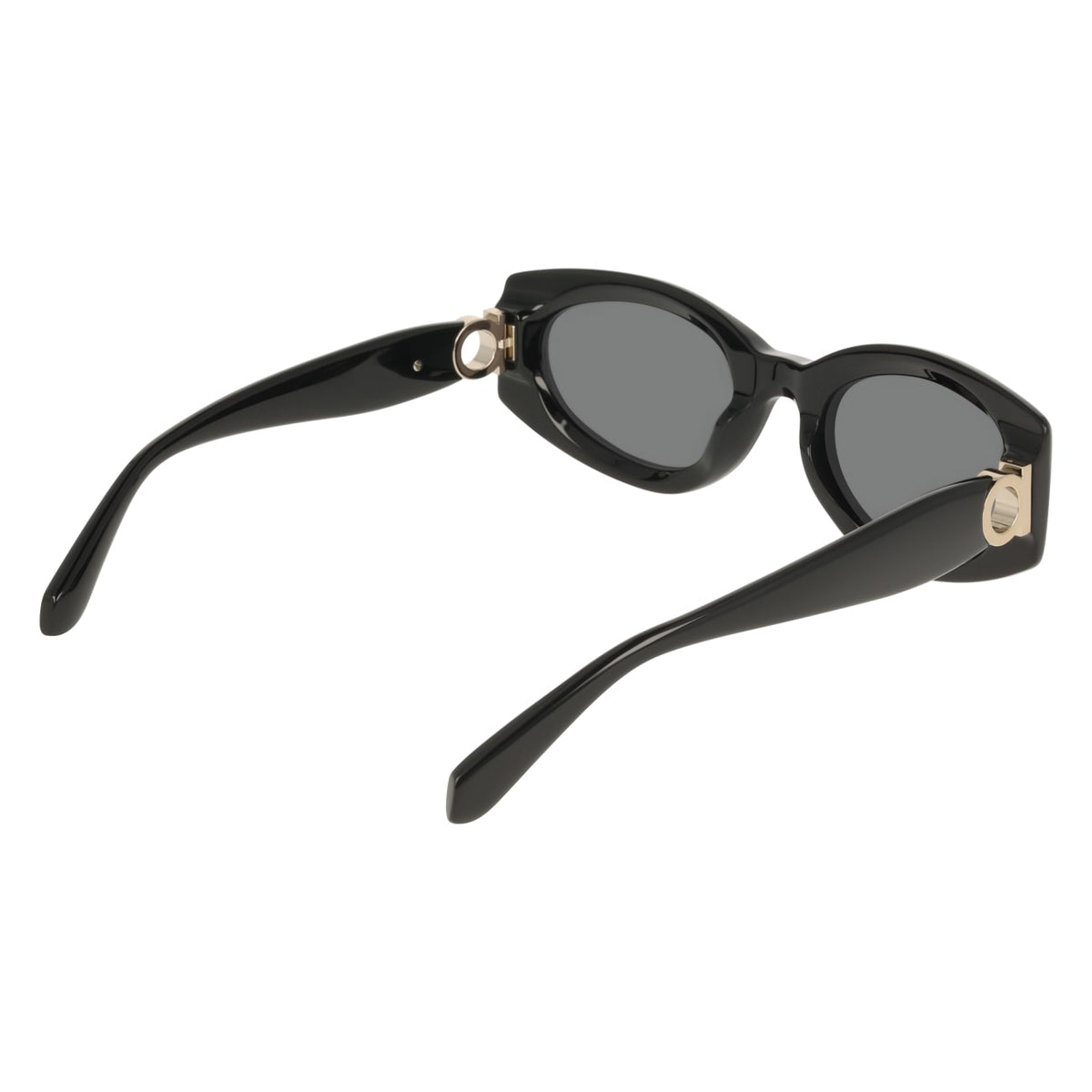 Gafas de Sol Ferragamo SF2118S 001 54 22