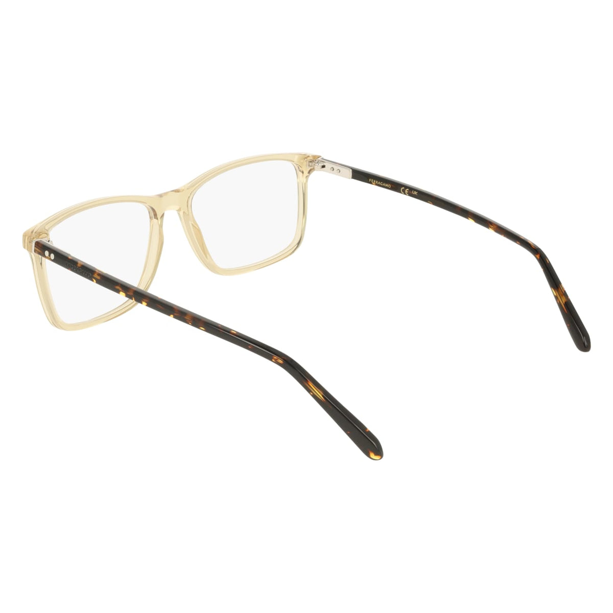 Gafas Graduadas Ferragamo SF3080 259 57 16