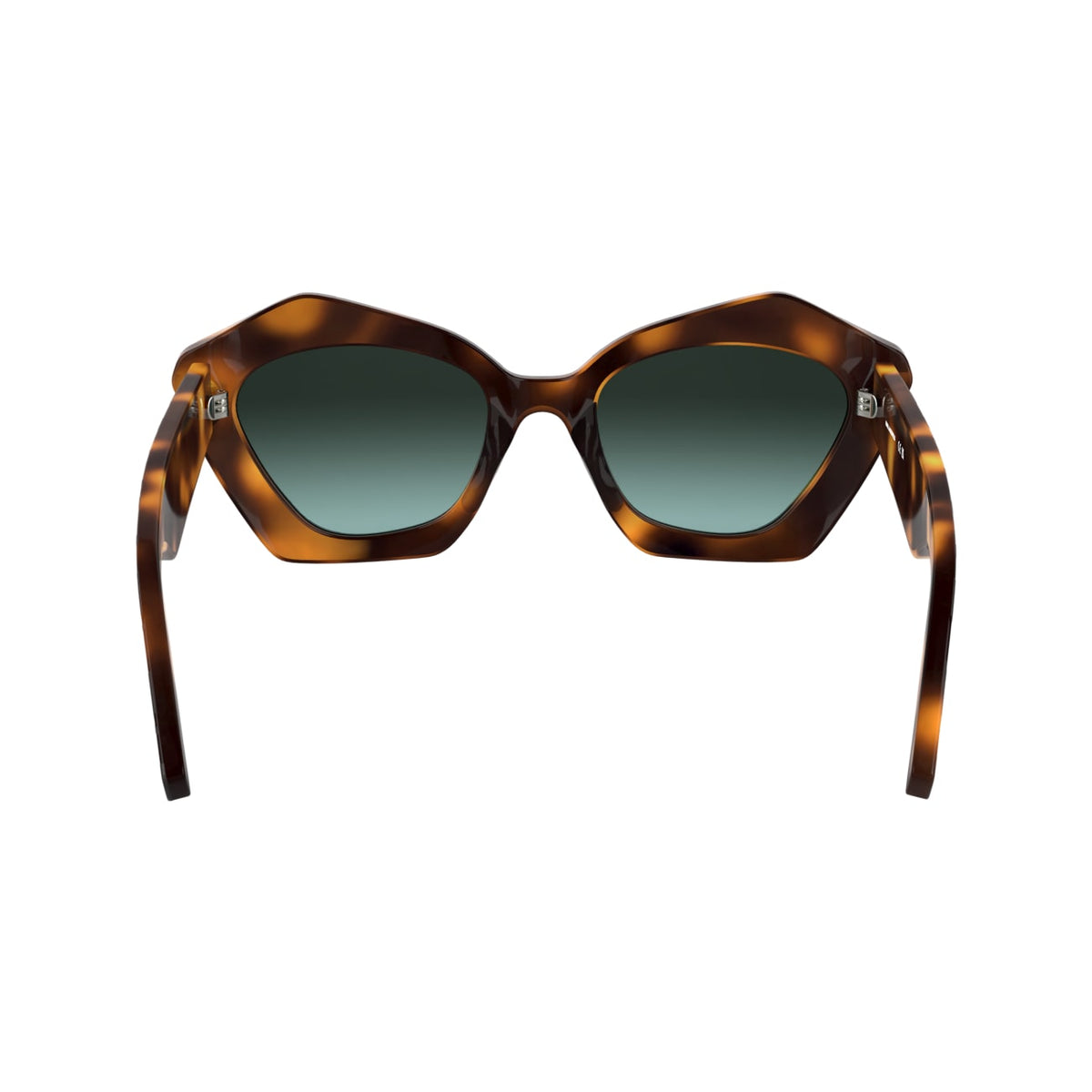 Gafas de Sol Karl Lagerfeld KL6199S 242 53 21