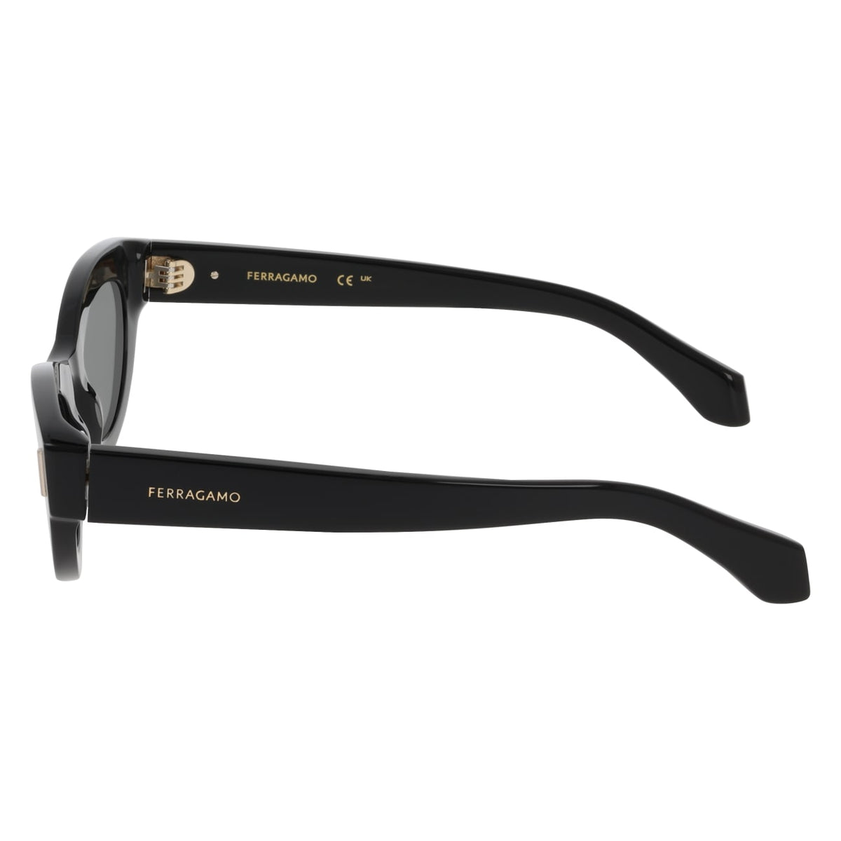 Gafas de Sol Ferragamo SF2062SE 001 49 23