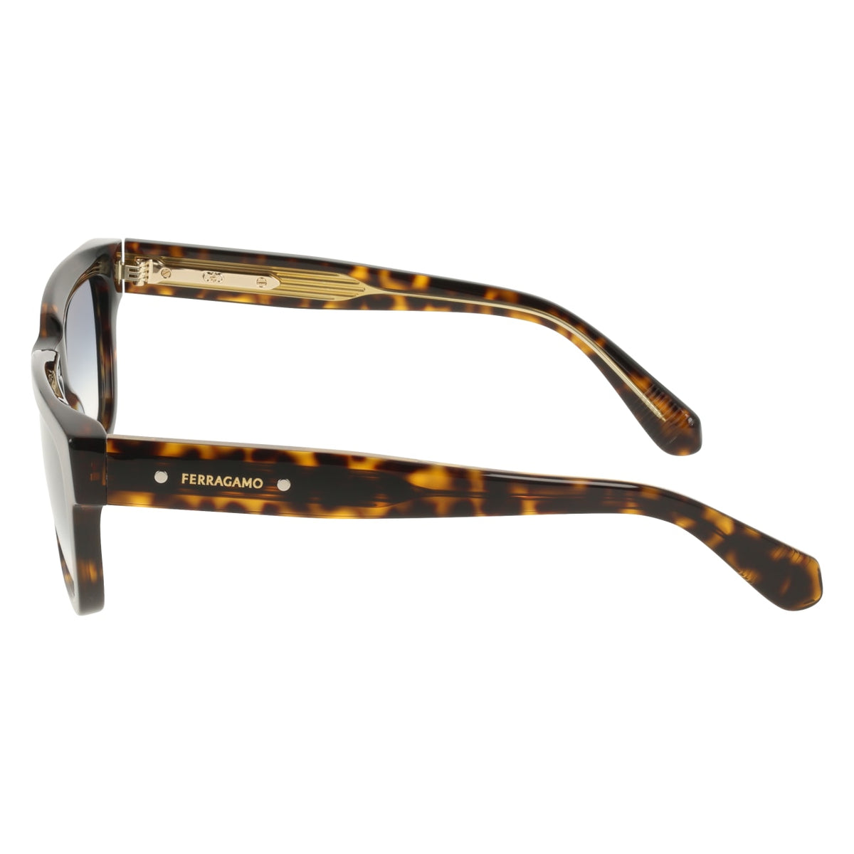 Gafas de Sol Ferragamo SF2145S 242 54 18