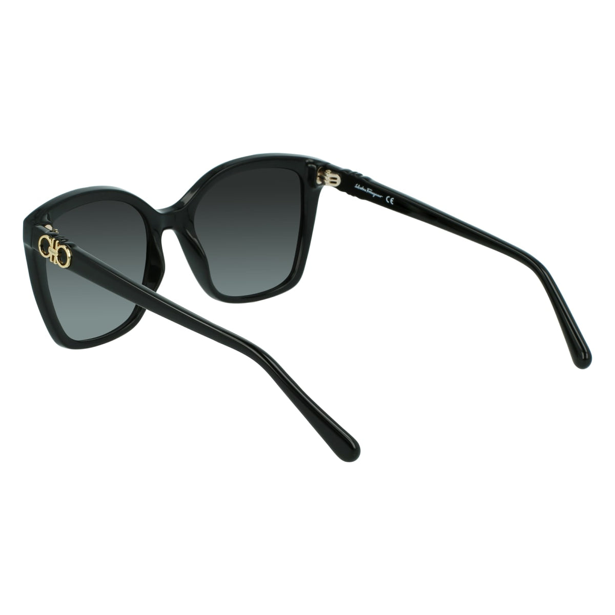 Gafas de Sol Ferragamo SF1026S 001 53.9 19