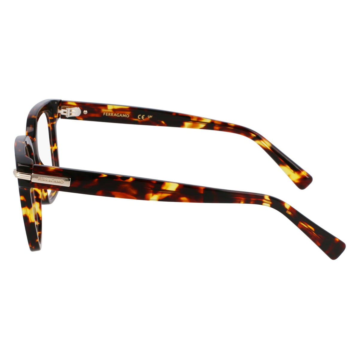 Gafas Graduadas Ferragamo SF3009 242 52 18