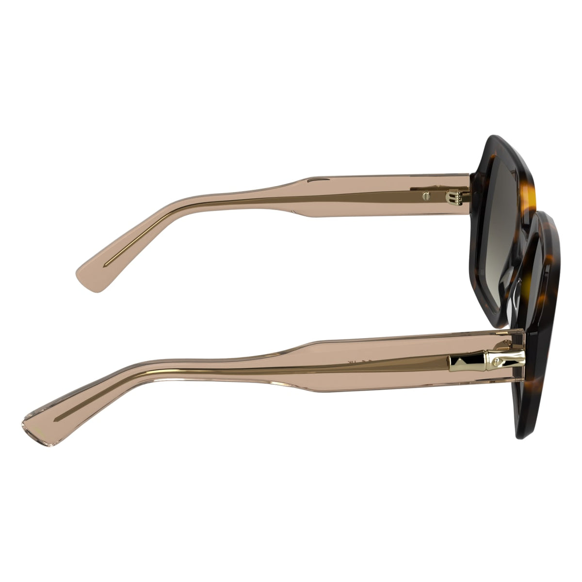 Gafas de Sol Longchamp LO790S 231 54 22